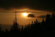 IMG_8605.webp