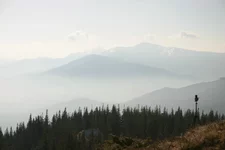 IMG_8630.webp
