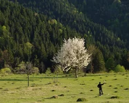IMGP43955.webp