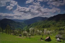 IMGP4292999.webp