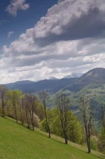 IMGP4308999.webp