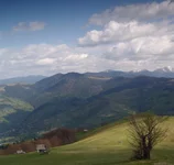 IMGP4330999.webp
