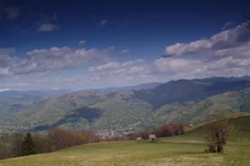 IMGP4339999.webp