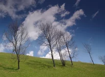 IMGP43112222.webp