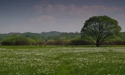 IMGP42362222.webp