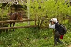 IMGP39245555.webp