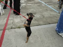 DSCN0453.webp