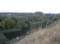 P8170159.webp