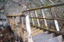 IMGP6599.webp