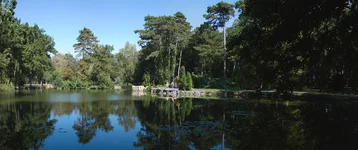 !Panorama 1.webp