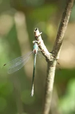 DSC_9902.webp