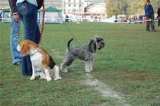b1d2fb5c2b59.jpg