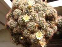 IMG_0129.webp