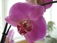 22222 004.webp
