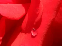 DSCF0031.webp