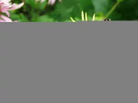 DSC00127.webp
