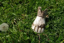 IMGP4863333.webp
