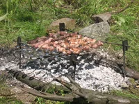  2009 059.webp