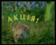 Интер_А_CH011_0518_122131.jpg