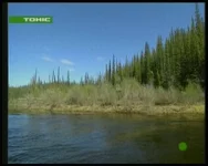 Тонис_Б_CH070_0518_150028.jpg