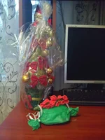 IMG_20141211_140316.webp