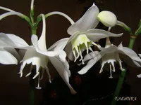 DSC07722.webp