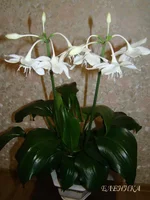 DSC07727.webp