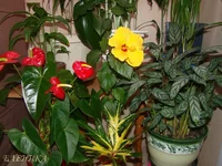 2014_11_22.webp