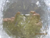 pbvyzz hs,fkrf 014.jpg
