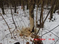  -парк Фельдмана 025.webp