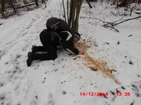  -парк Фельдмана 031.webp
