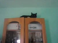 0181.webp