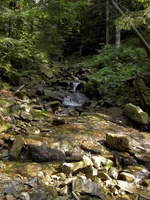 032-768x1024.webp