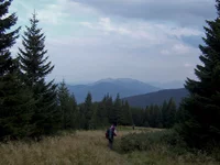 066-1024x768.webp