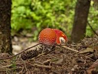 008-1024x768.webp