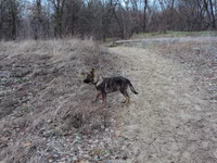 DSC04777_новый размер.webp