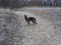 DSC04778_новый размер.webp