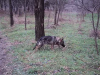 DSC04781_новый размер.webp