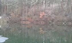 12738270_89e753cd.webp