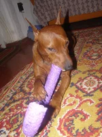 P1013274.webp P1013274.webp