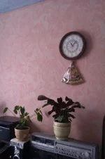 IMAG0110.webp
