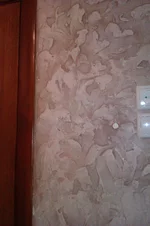 IMAG0115.webp