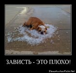 6e870850bda771e38160e2675c5e8b42.jpg