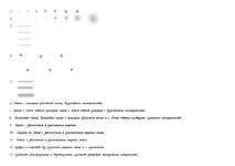 file12447.jpg