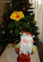 DSC07772_.webp
