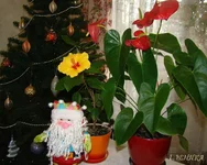 DSC07783_.webp