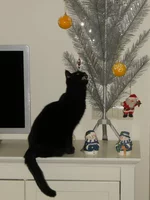 DSCN9719.jpg