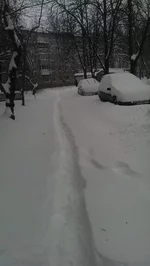 uploadfromtaptalk1419924159440.jpg