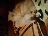 20130819_130534.webp