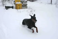 IMG_7338 копия.webp